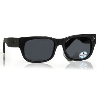 Sullen Clothing & Black Flys Sunglasses - Next Chapter...